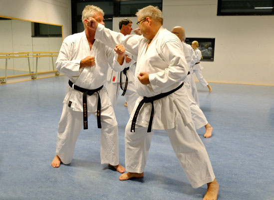 karate fighting